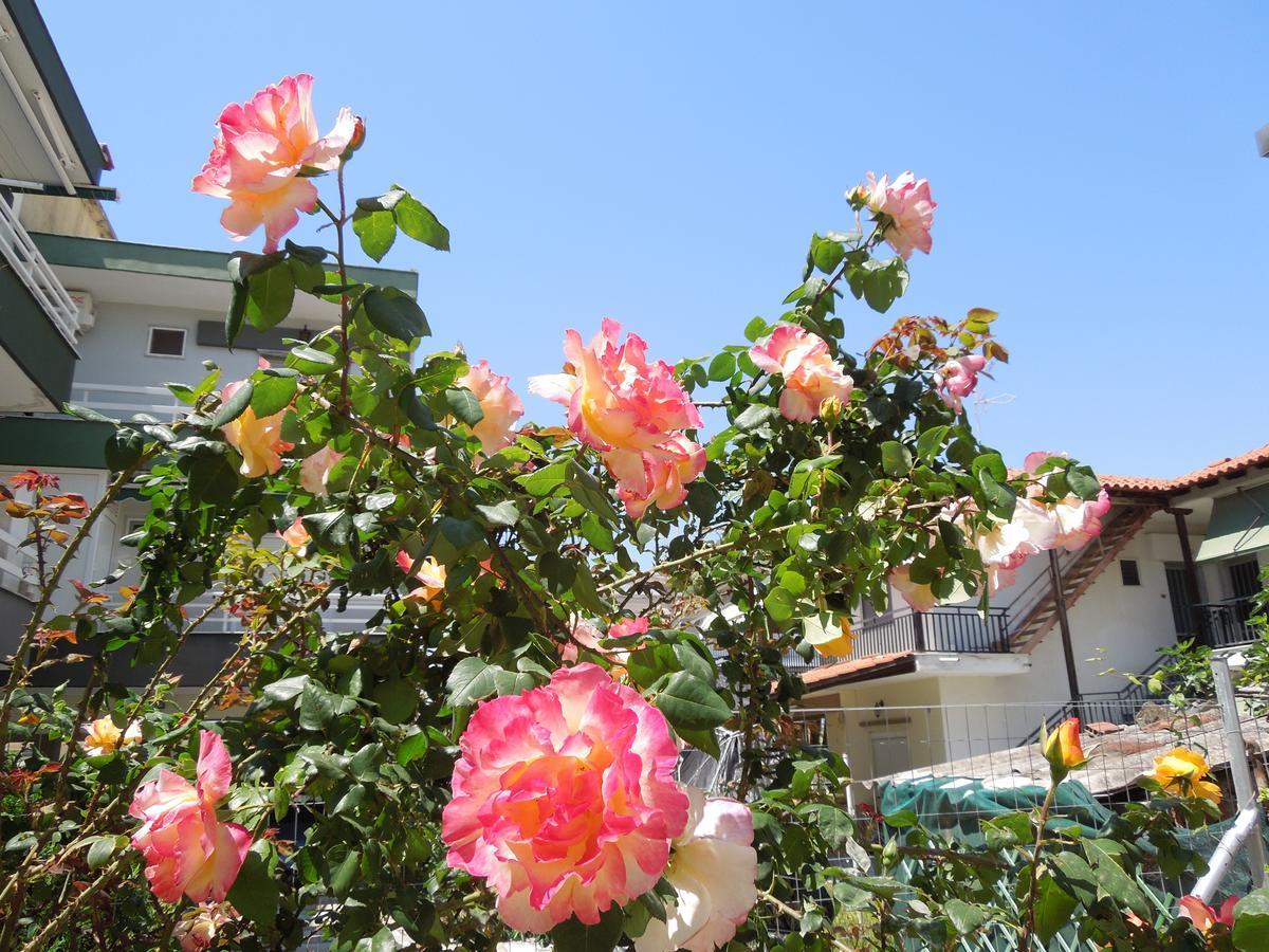 Sunshine Apartment パラリア・ディオニショウ エクステリア 写真